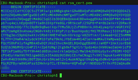 actioncomponent-mqtt-google-rsa-cert