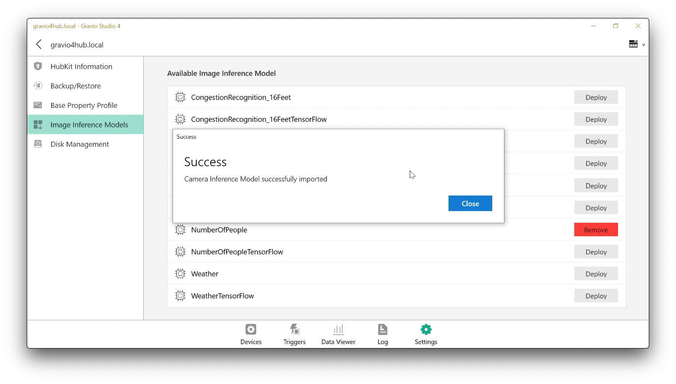 g4-settings-image-inference-models-overview-deployed